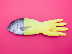 highres-2046-p750-155-10567204