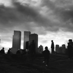 black_and_white_000000-topaz-denoise